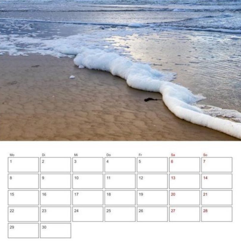 Belegungskalender